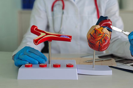 Peripheral arterial bypass surgery in Vijayawada