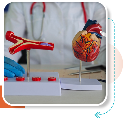 Peripheral arterial bypass surgery in Vijayawada